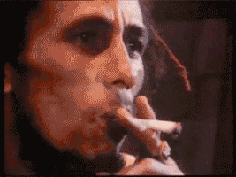 bob marley smoking GIF bob marley smoking GIF