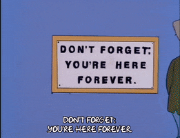 season 6 episode 13 GIF season 6 episode 13 GIF