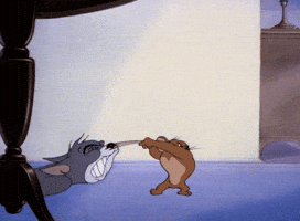 Tom And Jerry GIF Tom And Jerry GIF