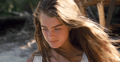 brooke shields 80s GIF brooke shields 80s GIF