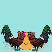 Greeting Good Morning GIF by JellaCreative Greeting Good Morning GIF by JellaCreative