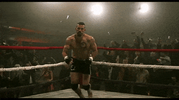 Fight Kicking GIF by VVS FILMS Fight Kicking GIF by VVS FILMS