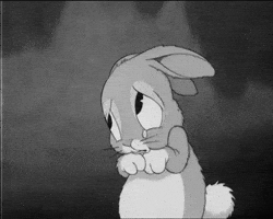 sad rabbit GIF sad rabbit GIF