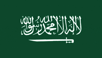 Saudi Arabia Flag GIF by tzceer Saudi Arabia Flag GIF by tzceer