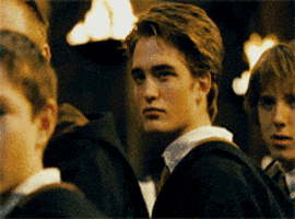 harry potter hot diggory damn GIF harry potter hot diggory damn GIF