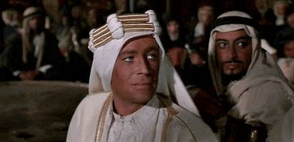 lawrence of arabia perfection GIF by Maudit lawrence of arabia perfection GIF by Maudit