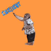 Fun Heart GIF Fun Heart GIF