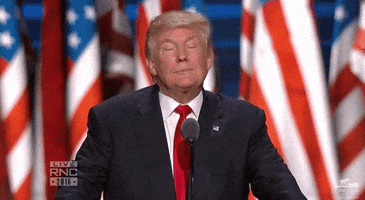 Donald Trump Idk GIF by Election 2016