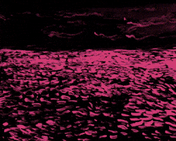 Ocean Waves Bird GIF by Barbara Pozzi Ocean Waves Bird GIF by Barbara Pozzi