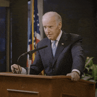 Election 2020 Reaction GIF by Joe Biden