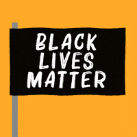 Black Lives Matter Flag GIF by INTO ACTION Black Lives Matter Flag GIF by INTO ACTION