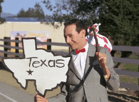 texas GIF texas GIF