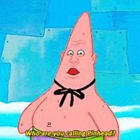 Spongebob Squarepants Patrick GIF Spongebob Squarepants Patrick GIF