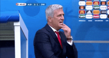 Happy Euro 2016 GIF by Sporza Happy Euro 2016 GIF by Sporza