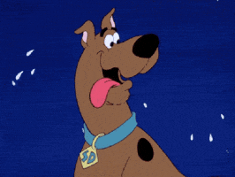 Do Want Scooby Doo GIF Do Want Scooby Doo GIF
