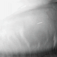 Live Action Film GIF by Golden Wolf Live Action Film GIF by Golden Wolf