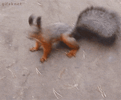 Bring It Reaction GIF by reactionseditor Bring It Reaction GIF by reactionseditor