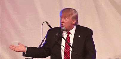 Donald Trump Idk GIF Donald Trump Idk GIF