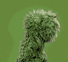 Turn Around No GIF by Sesame Street Turn Around No GIF by Sesame Street