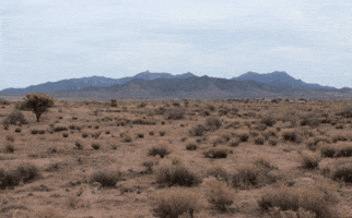 Bored No One GIF Bored No One GIF