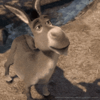 Oh No Deal With It GIF by DreamWorks Animation Oh No Deal With It GIF by DreamWorks Animation