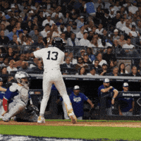 New York Yankees Baseball GIF by MLB New York Yankees Baseball GIF by MLB