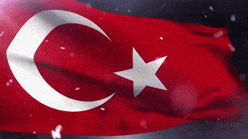 Flag Turkey GIF Flag Turkey GIF