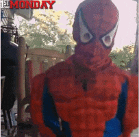spiderman GIF by FirstAndMonday