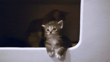 Drama Queen Crying GIF by Rocket Jump Film School Drama Queen Crying GIF by Rocket Jump Film School