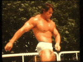 arnold schwarzenegger vintage GIF by Okkult Motion Pictures arnold schwarzenegger vintage GIF by Okkult Motion Pictures