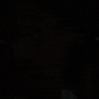 Flightreacts GIF Flightreacts GIF