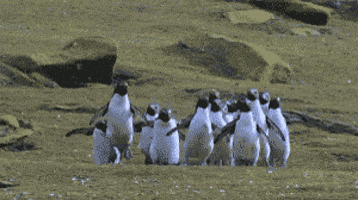 Happy Jump GIF Happy Jump GIF