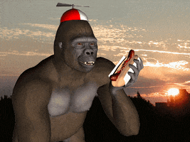 Hot Dog Reaction GIF Hot Dog Reaction GIF