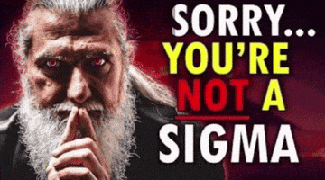 Sorry Sigma GIF Sorry Sigma GIF