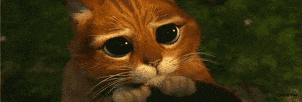 Follow Me Please GIF Follow Me Please GIF