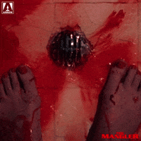 Robert Englund Reaction GIF by Arrow Video Robert Englund Reaction GIF by Arrow Video