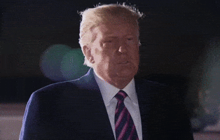 Donald Trump Wow GIF by GIPHY News Donald Trump Wow GIF by GIPHY News