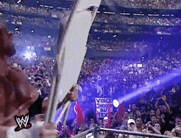 Triple H Sport GIF by WWE Triple H Sport GIF by WWE