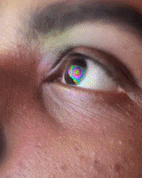 Pretty Boy Lsd GIF Pretty Boy Lsd GIF