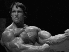 flexing arnold schwarzenegger GIF flexing arnold schwarzenegger GIF