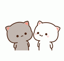 Cat Love GIF by NGcorpvtc Cat Love GIF by NGcorpvtc
