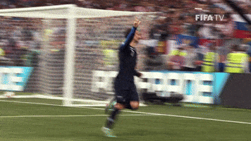 France Football GIF by FIFA France Football GIF by FIFA