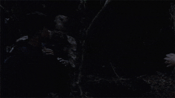 Zombie Stabbing GIF by The Walking Dead Zombie Stabbing GIF by The Walking Dead