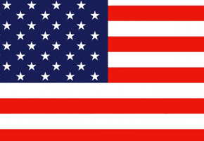 Independence Day Usa GIF by Ecard Mint Independence Day Usa GIF by Ecard Mint