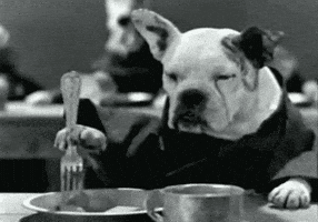 hungry dogs GIF hungry dogs GIF