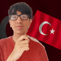 Holding Turkish Flag GIF Holding Turkish Flag GIF