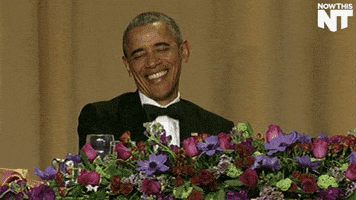 Laugh Lol GIF by NowThis Laugh Lol GIF by NowThis
