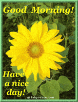 good morning GIF good morning GIF