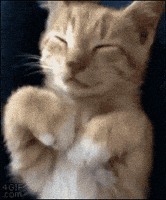 Oh No Facepalm GIF Oh No Facepalm GIF