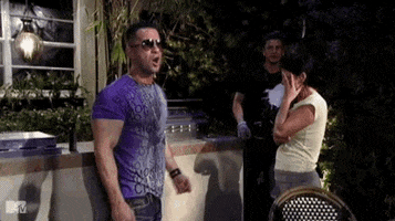 Mtv Wtf GIF by Jersey Shore Family Vacation